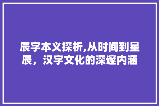 辰字本义探析,从时间到星辰，汉字文化的深邃内涵 诗歌创作