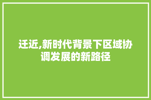 迁近,新时代背景下区域协调发展的新路径 词汇积累