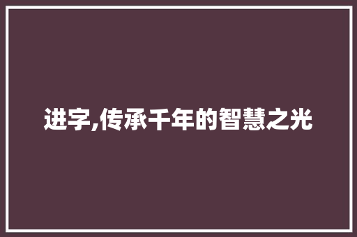 进字,传承千年的智慧之光