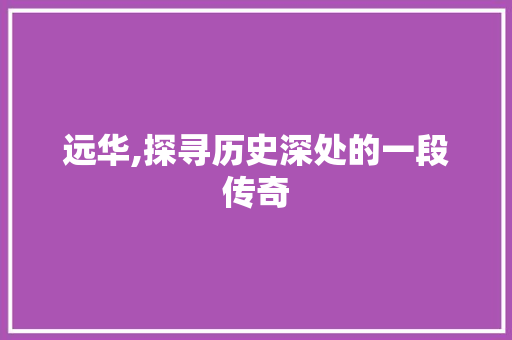 远华,探寻历史深处的一段传奇 报告写作