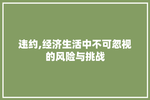 违约,经济生活中不可忽视的风险与挑战