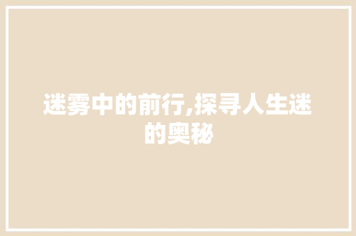 迷雾中的前行,探寻人生迷的奥秘