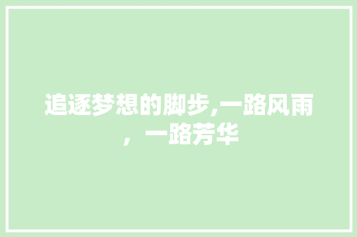 追逐梦想的脚步,一路风雨，一路芳华