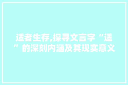 适者生存,探寻文言字“适”的深刻内涵及其现实意义 商业文案