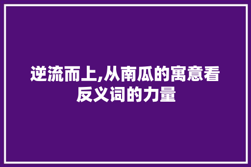 逆流而上,从南瓜的寓意看反义词的力量