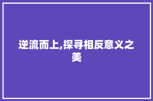 逆流而上,探寻相反意义之美