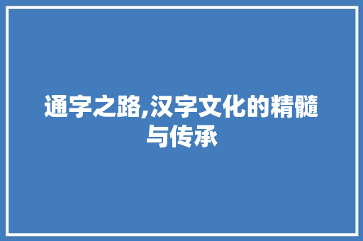 通字之路,汉字文化的精髓与传承