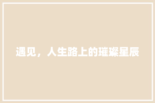 遇见，人生路上的璀璨星辰