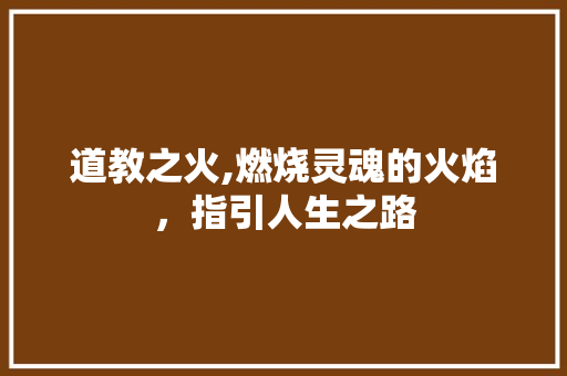 道教之火,燃烧灵魂的火焰，指引人生之路 词汇积累