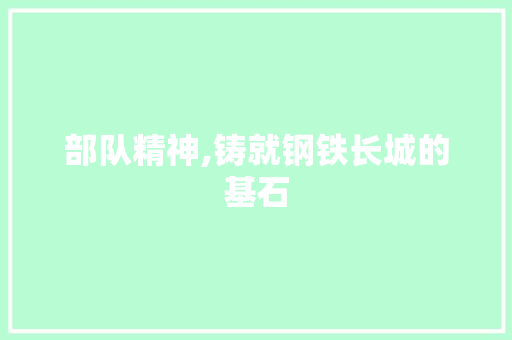 部队精神,铸就钢铁长城的基石 诗歌创作