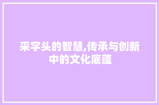 采字头的智慧,传承与创新中的文化底蕴 写作社区