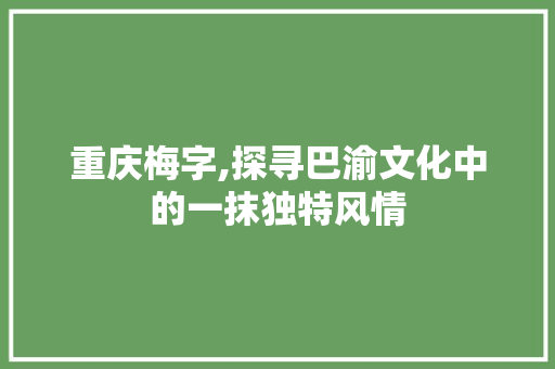 重庆梅字,探寻巴渝文化中的一抹独特风情 范文赏析