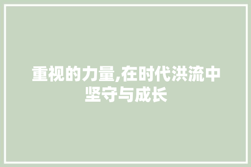重视的力量,在时代洪流中坚守与成长