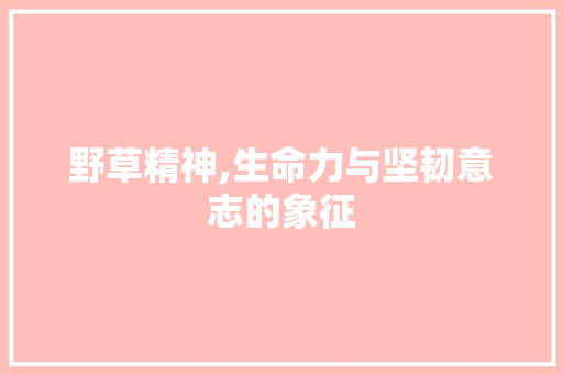 野草精神,生命力与坚韧意志的象征