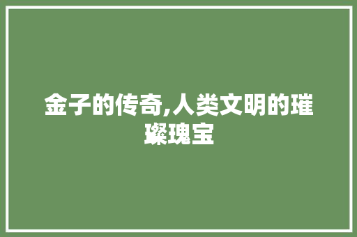 金子的传奇,人类文明的璀璨瑰宝 报告写作