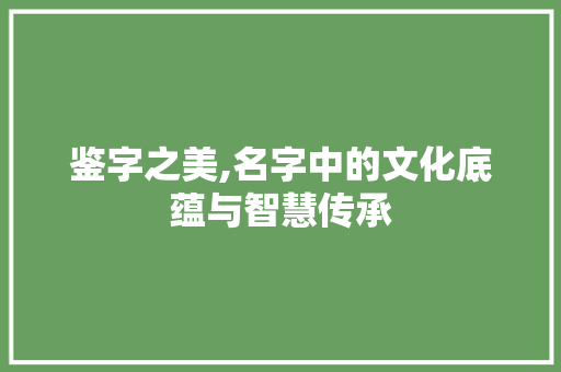 鉴字之美,名字中的文化底蕴与智慧传承 词汇积累