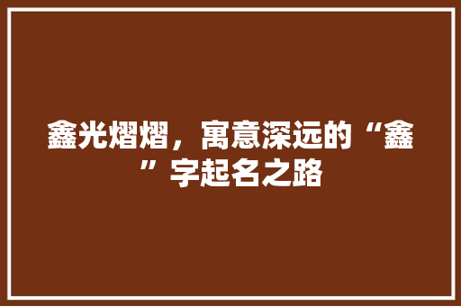 鑫光熠熠，寓意深远的“鑫”字起名之路 简历模板