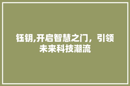 钰钥,开启智慧之门，引领未来科技潮流 范文赏析