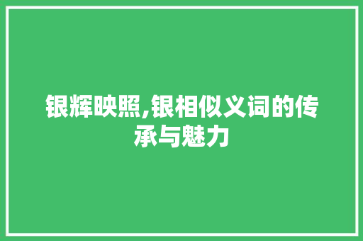 银辉映照,银相似义词的传承与魅力