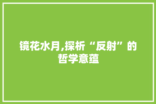 镜花水月,探析“反射”的哲学意蕴