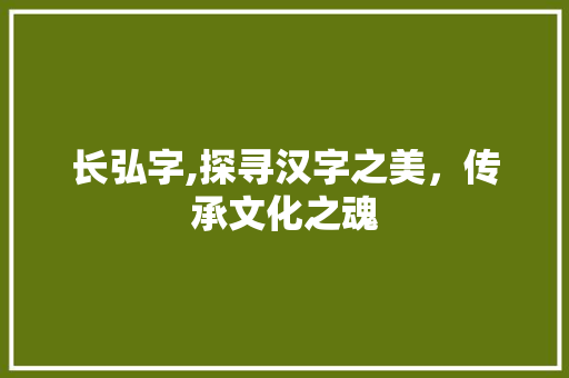 长弘字,探寻汉字之美，传承文化之魂 范文赏析