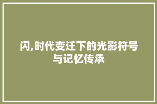 闪,时代变迁下的光影符号与记忆传承 词汇积累