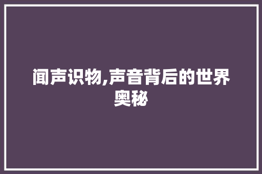 闻声识物,声音背后的世界奥秘