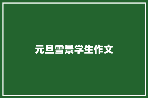 元旦雪景学生作文 商业文案