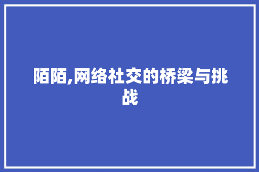 陌陌,网络社交的桥梁与挑战