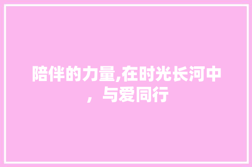 陪伴的力量,在时光长河中，与爱同行