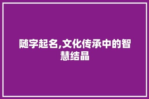 随字起名,文化传承中的智慧结晶