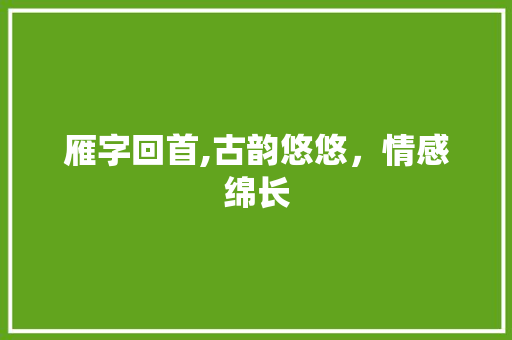雁字回首,古韵悠悠，情感绵长