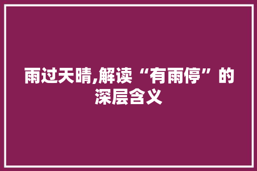 雨过天晴,解读“有雨停”的深层含义