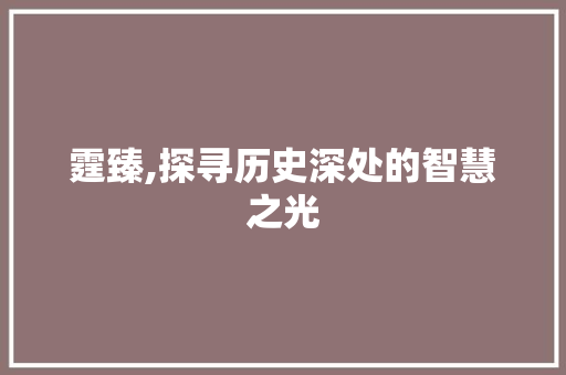 霆臻,探寻历史深处的智慧之光 范文赏析