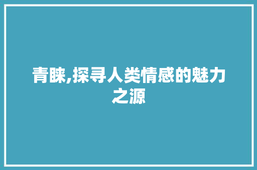 青睐,探寻人类情感的魅力之源 报告写作