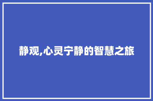静观,心灵宁静的智慧之旅