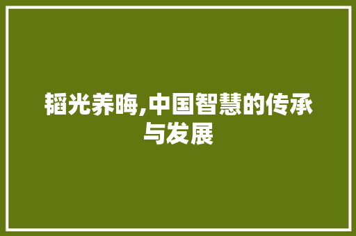 韬光养晦,中国智慧的传承与发展 写作素材