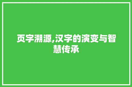页字溯源,汉字的演变与智慧传承