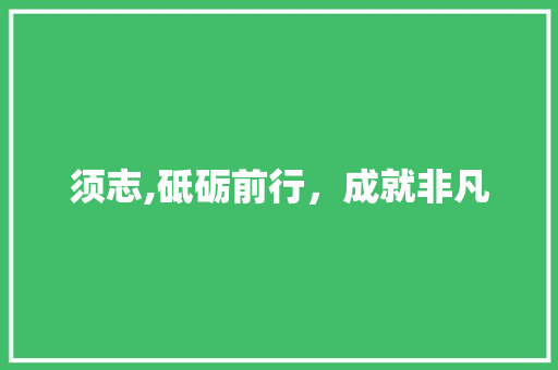 须志,砥砺前行，成就非凡 词汇积累