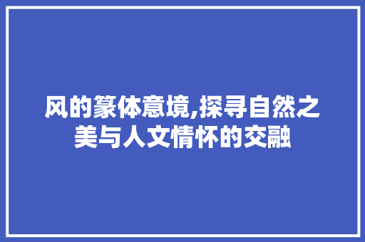 风的篆体意境,探寻自然之美与人文情怀的交融 写作技巧