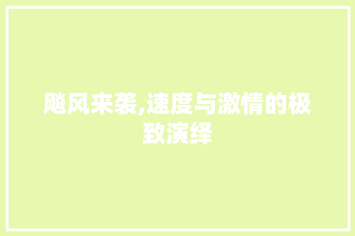 飚风来袭,速度与激情的极致演绎