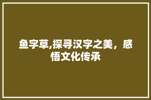 鱼字草,探寻汉字之美，感悟文化传承