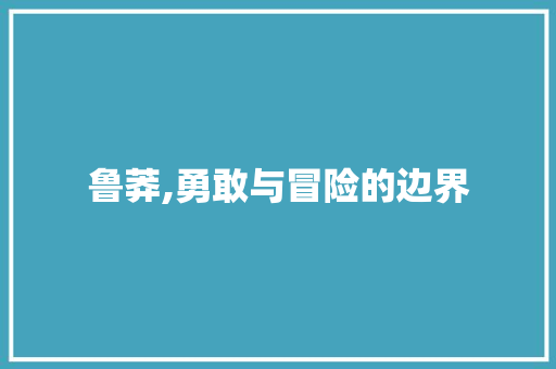 鲁莽,勇敢与冒险的边界
