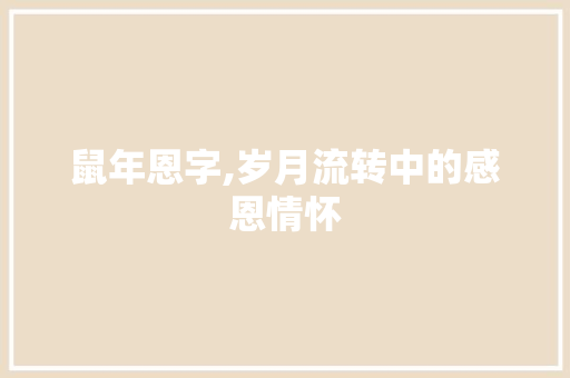 鼠年恩字,岁月流转中的感恩情怀