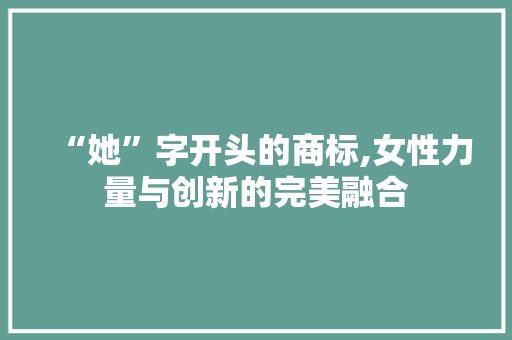 “她”字开头的商标,女性力量与创新的完美融合 简历模板