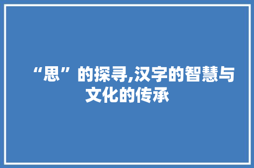 “思”的探寻,汉字的智慧与文化的传承 词汇积累