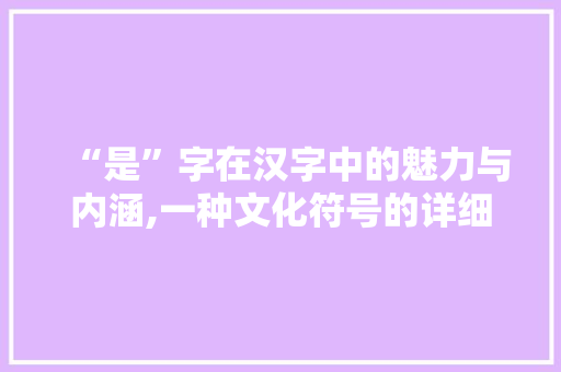“是”字在汉字中的魅力与内涵,一种文化符号的详细解读