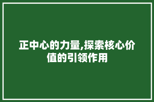 正中心的力量,探索核心价值的引领作用 报告写作