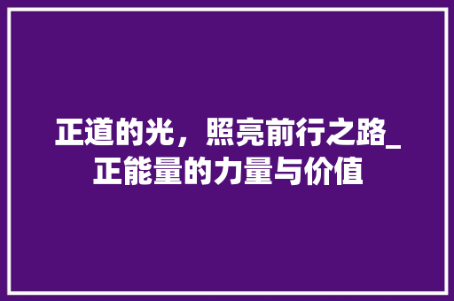 正道的光，照亮前行之路_正能量的力量与价值