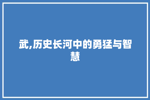 武,历史长河中的勇猛与智慧